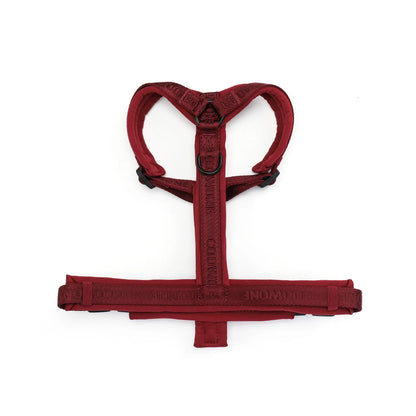 Jacquard Webbing Y Shape Dog Harness Soft Padded Y Form Dog Harness Secure Fit Front Clip Control No Pull Dog Harness