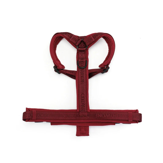 Jacquard Webbing Y Shape Dog Harness Soft Padded Y Form Dog Harness Secure Fit Front Clip Control No Pull Dog Harness